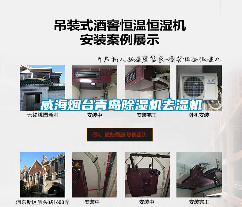 威海煙臺(tái)青島除濕機(jī)去濕機(jī)