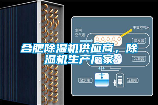 合肥除濕機(jī)供應(yīng)商，除濕機(jī)生產(chǎn)廠家