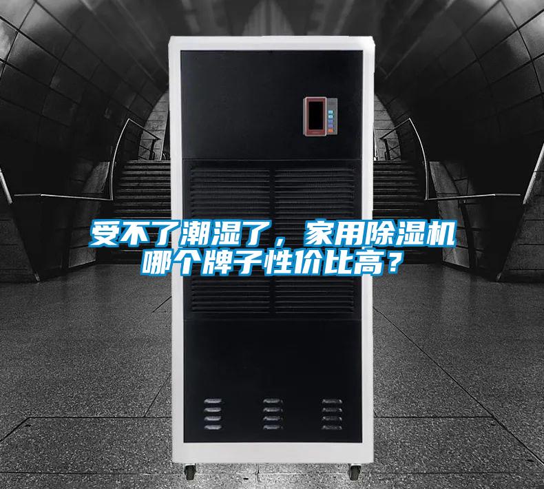 受不了潮濕了，家用除濕機哪個牌子性價比高？