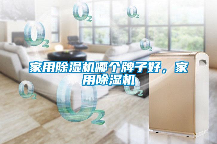 家用除濕機(jī)哪個(gè)牌子好，家用除濕機(jī)