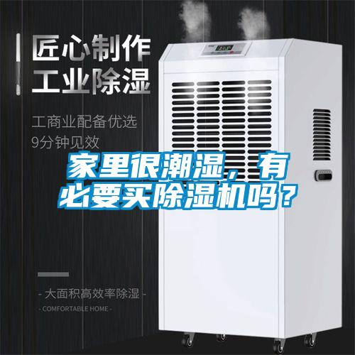 家里很潮濕，有必要買除濕機嗎？