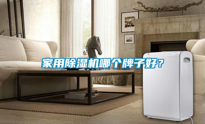 家用除濕機(jī)哪個(gè)牌子好？