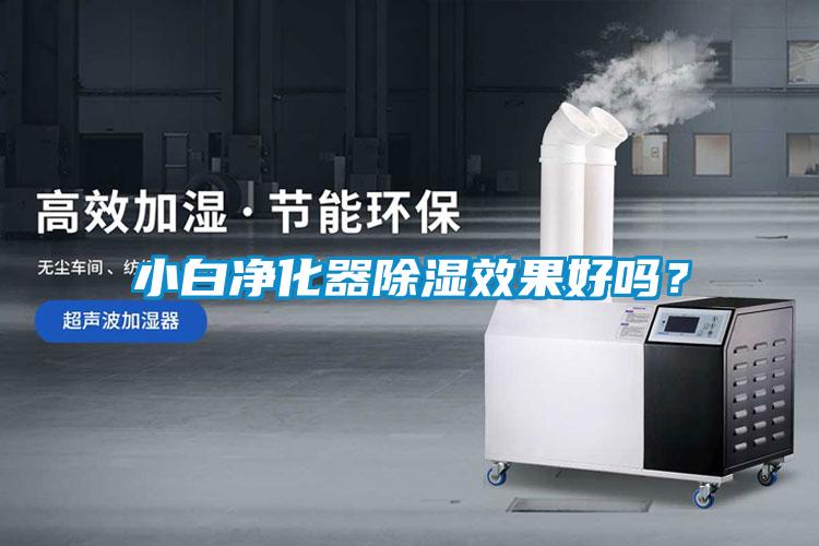 小白凈化器除濕效果好嗎？