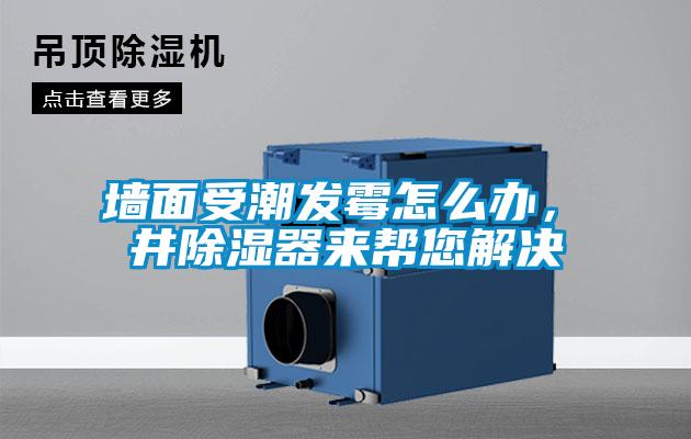 墻面受潮發(fā)霉怎么辦，東井除濕器來幫您解決