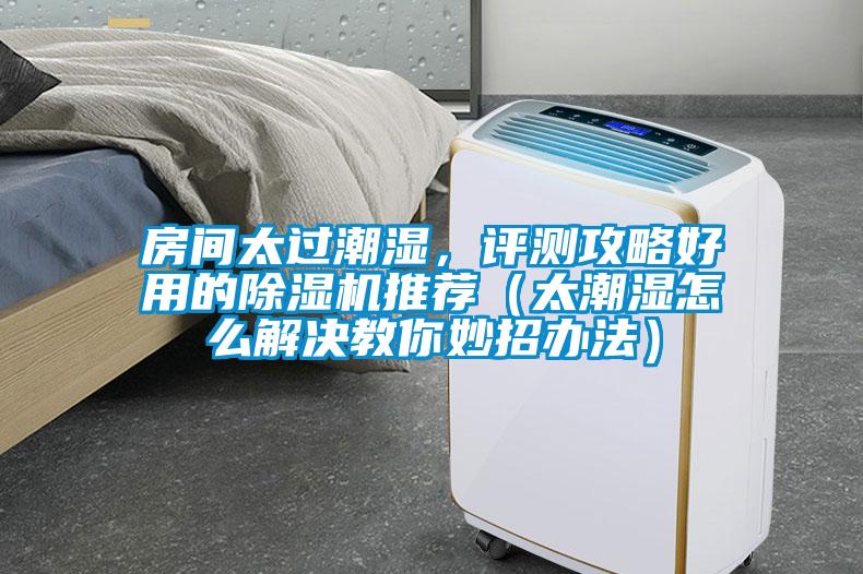 房間太過潮濕，評測攻略好用的除濕機(jī)推薦（太潮濕怎么解決教你妙招辦法）