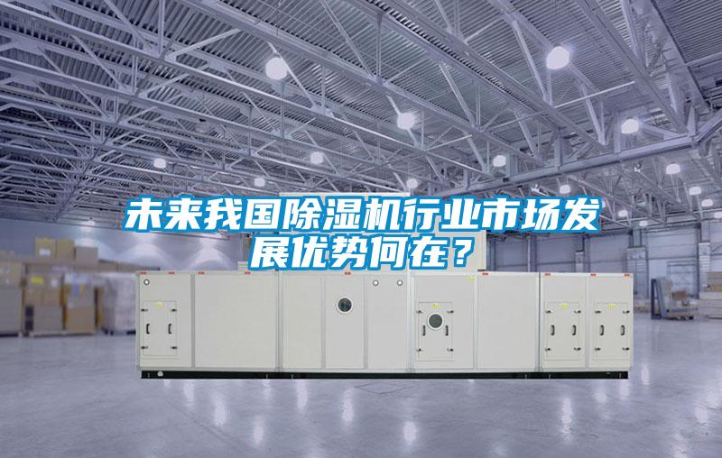 未來我國除濕機行業(yè)市場發(fā)展優(yōu)勢何在？