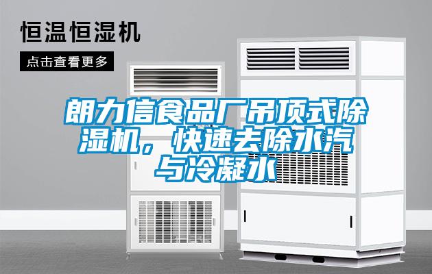 朗力信食品廠吊頂式除濕機(jī)，快速去除水汽與冷凝水