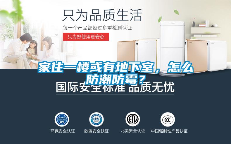 家住一樓或有地下室，怎么防潮防霉？