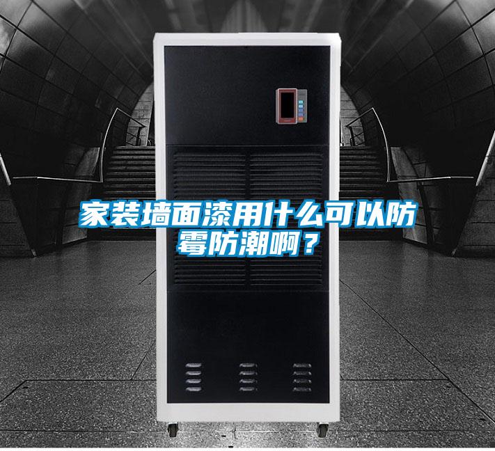 家裝墻面漆用什么可以防霉防潮啊？