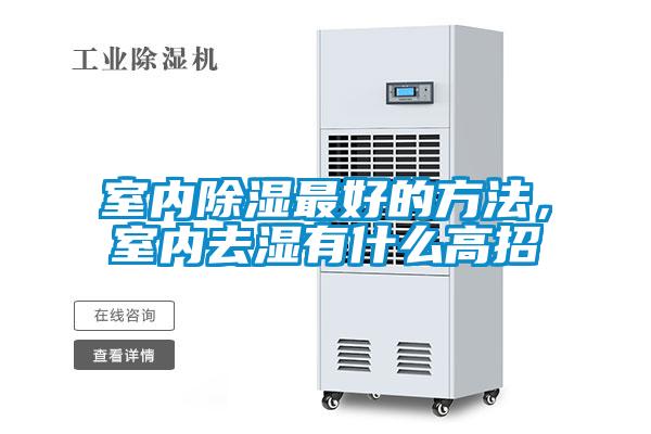 室內(nèi)除濕最好的方法，室內(nèi)去濕有什么高招