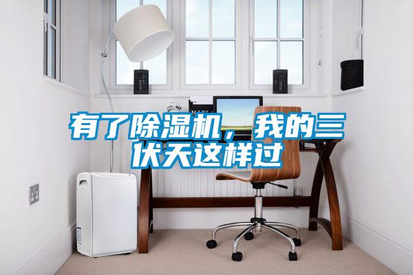 有了除濕機，我的三伏天這樣過