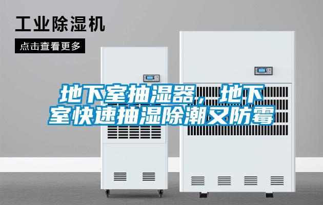 地下室抽濕器，地下室快速抽濕除潮又防霉