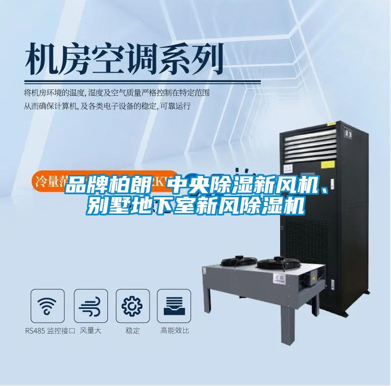 品牌柏朗 中央除濕新風(fēng)機(jī)、別墅地下室新風(fēng)除濕機(jī)