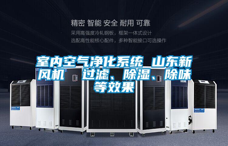 室內(nèi)空氣凈化系統(tǒng) 山東新風(fēng)機(jī)  過(guò)濾、除濕、除味等效果