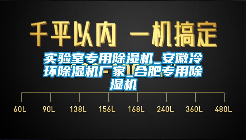 實(shí)驗(yàn)室專(zhuān)用除濕機(jī)_安徽冷環(huán)除濕機(jī)廠(chǎng)家_合肥專(zhuān)用除濕機(jī)