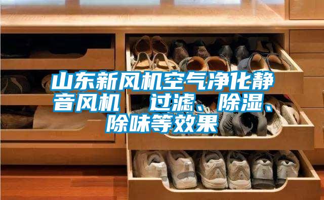 山東新風(fēng)機(jī)空氣凈化靜音風(fēng)機(jī)  過濾、除濕、除味等效果