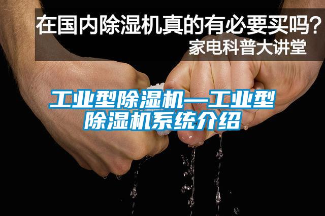 工業(yè)型除濕機(jī)—工業(yè)型除濕機(jī)系統(tǒng)介紹