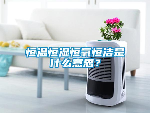 恒溫恒濕恒氧恒潔是什么意思？