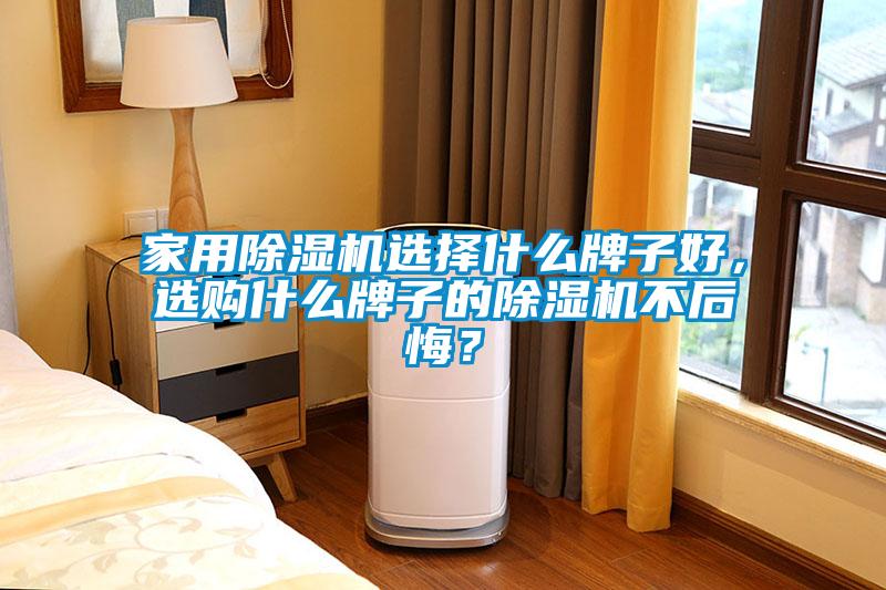 家用除濕機(jī)選擇什么牌子好，選購什么牌子的除濕機(jī)不后悔？