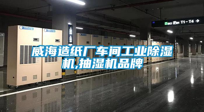 威海造紙廠車(chē)間工業(yè)除濕機(jī),抽濕機(jī)品牌
