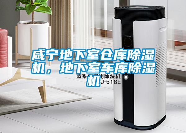 咸寧地下室倉庫除濕機(jī)，地下室車庫除濕機(jī)