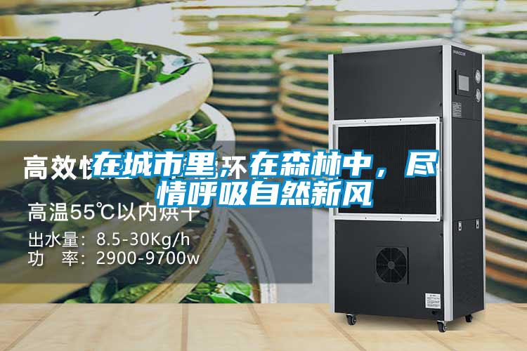 在城市里，在森林中，盡情呼吸自然新風(fēng)