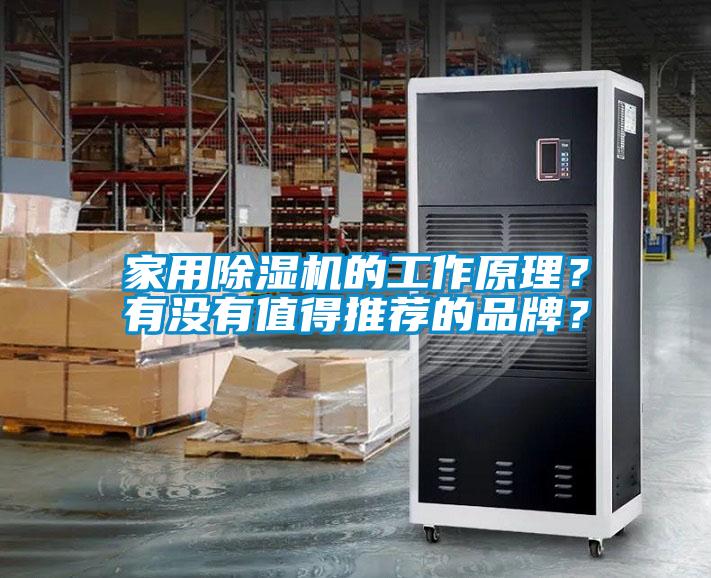 家用除濕機的工作原理？有沒有值得推薦的品牌？