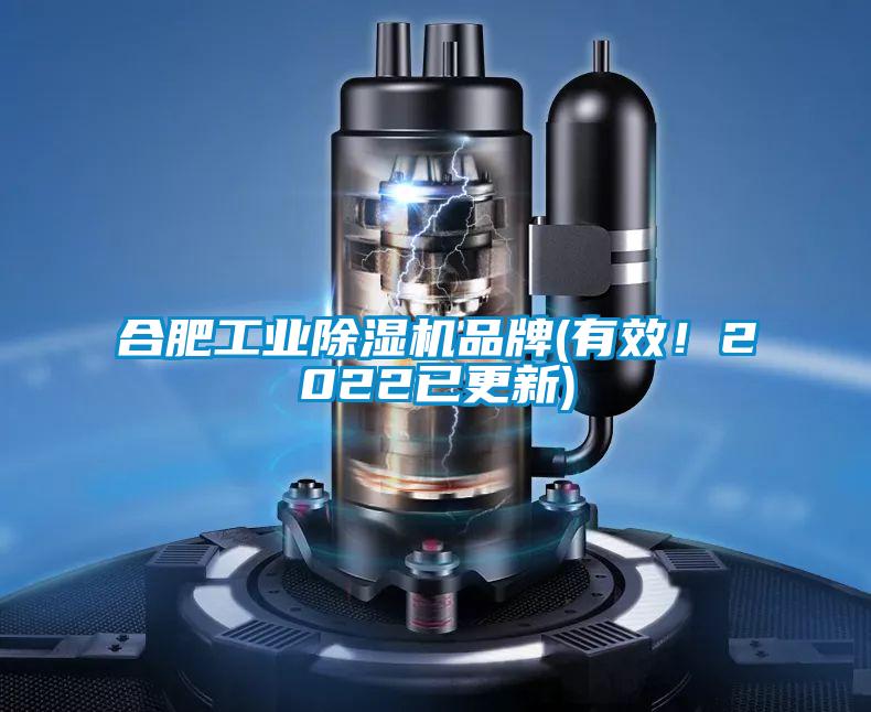 合肥工業(yè)除濕機(jī)品牌(有效！2022已更新)