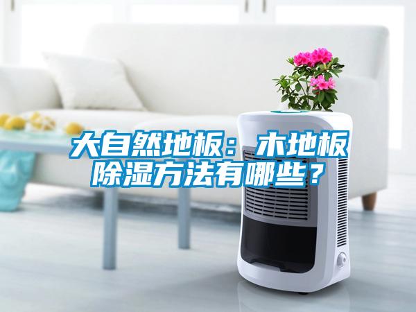 大自然地板：木地板除濕方法有哪些？