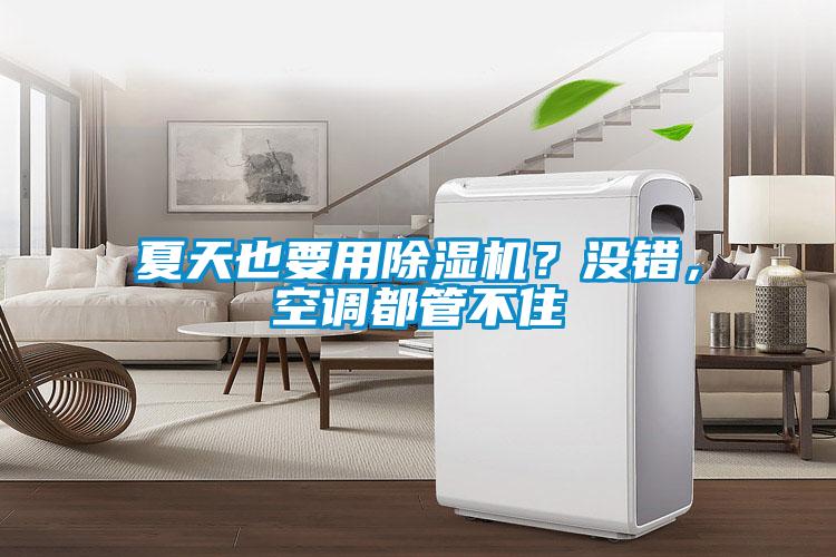 夏天也要用除濕機(jī)？沒(méi)錯(cuò)，空調(diào)都管不住