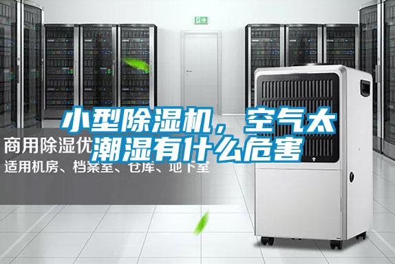 小型除濕機(jī)，空氣太潮濕有什么危害