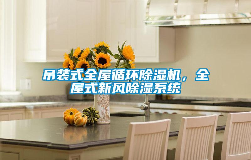 吊裝式全屋循環(huán)除濕機(jī)，全屋式新風(fēng)除濕系統(tǒng)