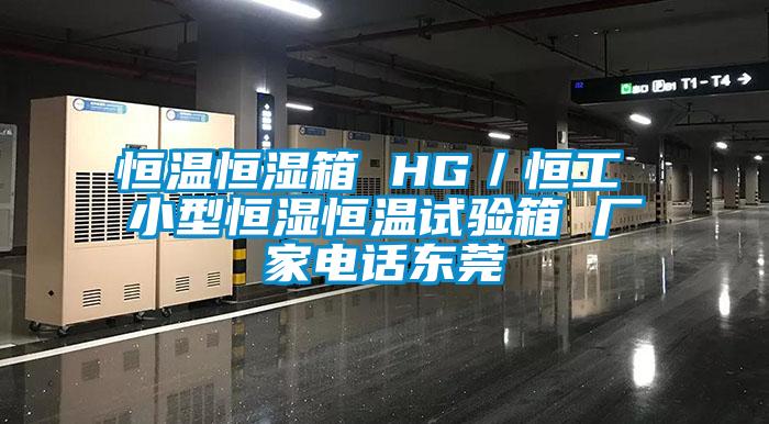 恒溫恒濕箱 HG／恒工 小型恒濕恒溫試驗(yàn)箱 廠家電話東莞