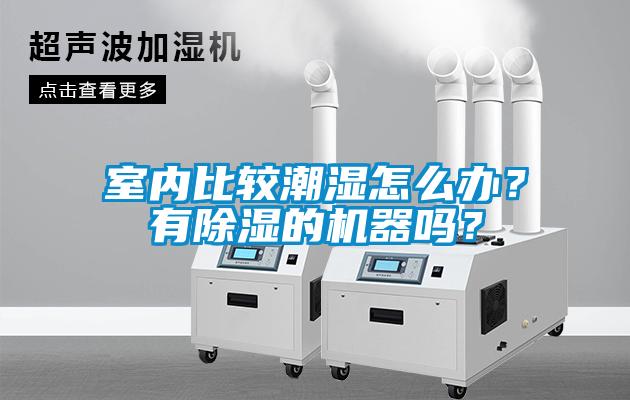 室內(nèi)比較潮濕怎么辦？有除濕的機器嗎？