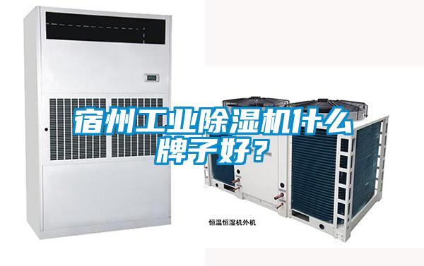 宿州工業(yè)除濕機(jī)什么牌子好？