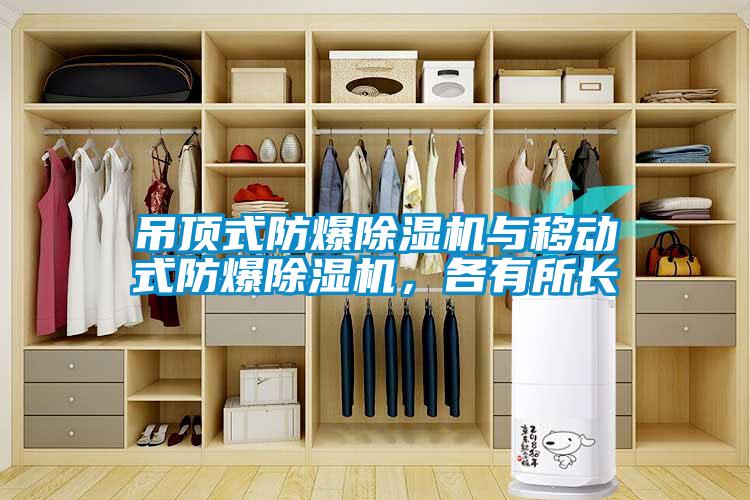 吊頂式防爆除濕機(jī)與移動(dòng)式防爆除濕機(jī)，各有所長(zhǎng)