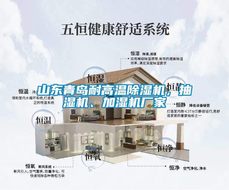 山東青島耐高溫除濕機(jī)，抽濕機(jī)、加濕機(jī)廠家