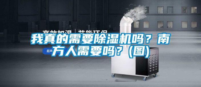 我真的需要除濕機嗎？南方人需要嗎？(圖)