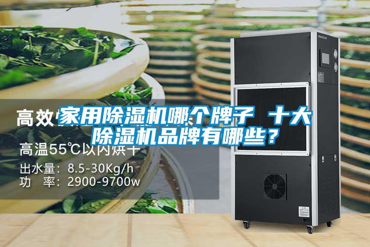 家用除濕機(jī)哪個(gè)牌子 十大除濕機(jī)品牌有哪些？