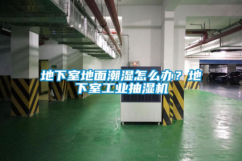 地下室地面潮濕怎么辦？地下室工業(yè)抽濕機(jī)