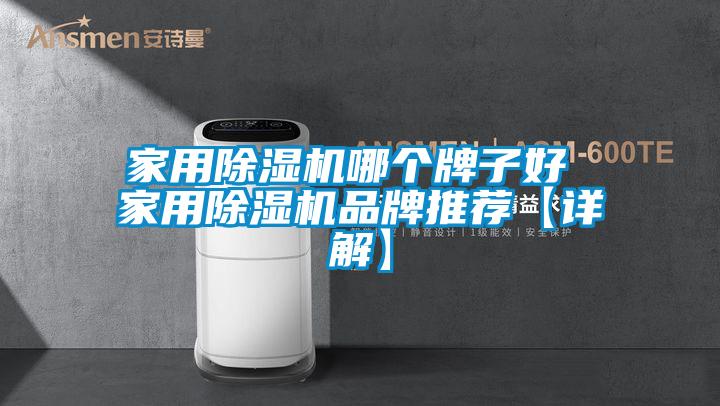 家用除濕機(jī)哪個牌子好 家用除濕機(jī)品牌推薦【詳解】