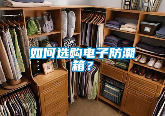 如何選購電子防潮箱？