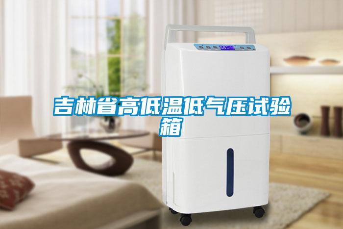 吉林省高低溫低氣壓試驗(yàn)箱