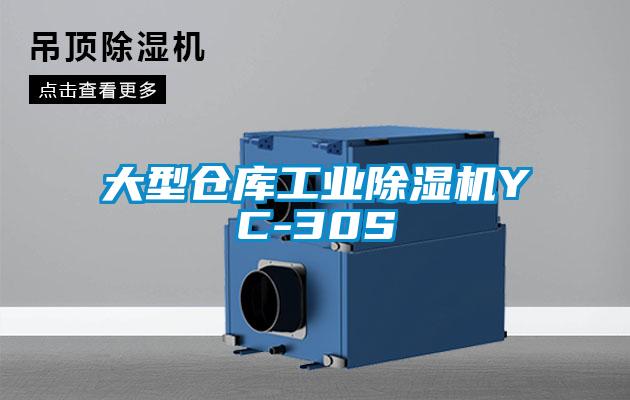 大型倉(cāng)庫(kù)工業(yè)除濕機(jī)YC-30S