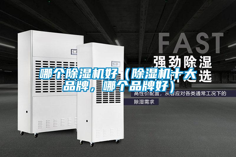 哪個(gè)除濕機(jī)好（除濕機(jī)十大品牌，哪個(gè)品牌好）
