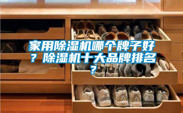 家用除濕機哪個牌子好？除濕機十大品牌排名？
