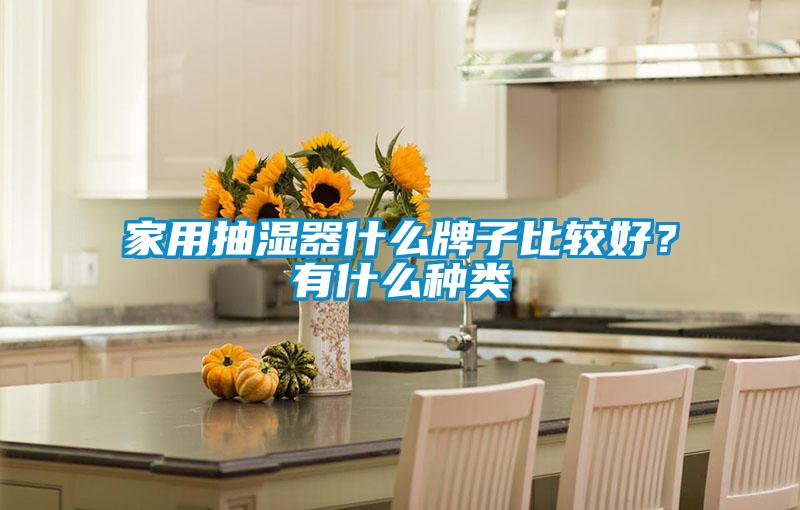家用抽濕器什么牌子比較好？有什么種類