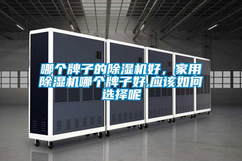 哪個牌子的除濕機好，家用除濕機哪個牌子好,應該如何選擇呢