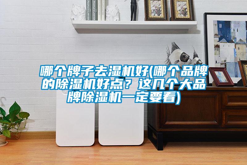 哪個(gè)牌子去濕機(jī)好(哪個(gè)品牌的除濕機(jī)好點(diǎn)？這幾個(gè)大品牌除濕機(jī)一定要看)