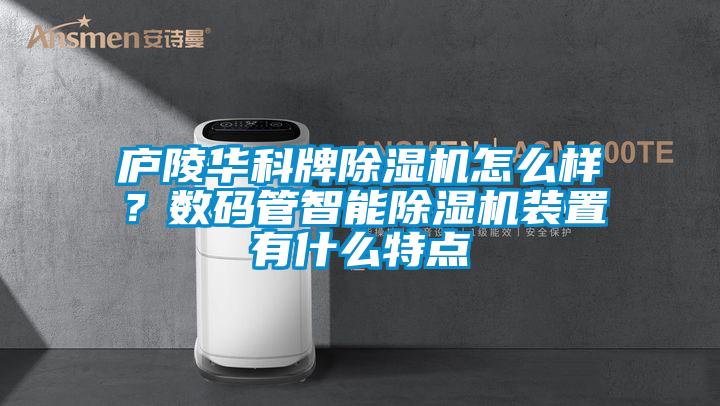 廬陵華科牌除濕機怎么樣？數(shù)碼管智能除濕機裝置有什么特點